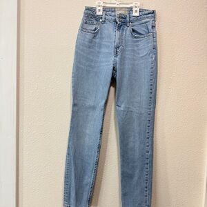 Everlane Curvy Checky jeans 26